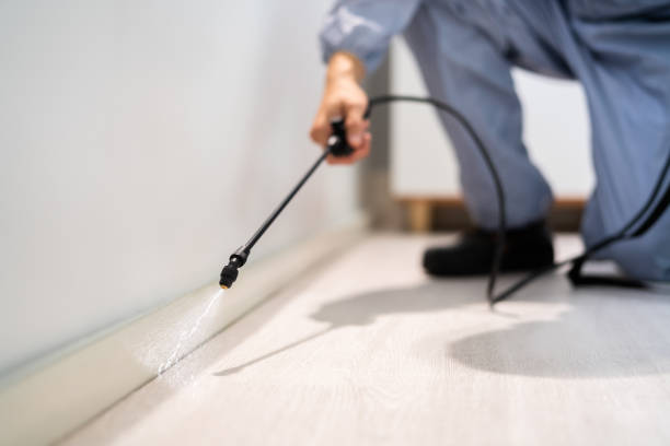 Certified termite inspector examining foundation in Forest Hill