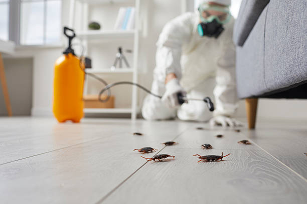 Commercial Rodent Management in Forest Hill